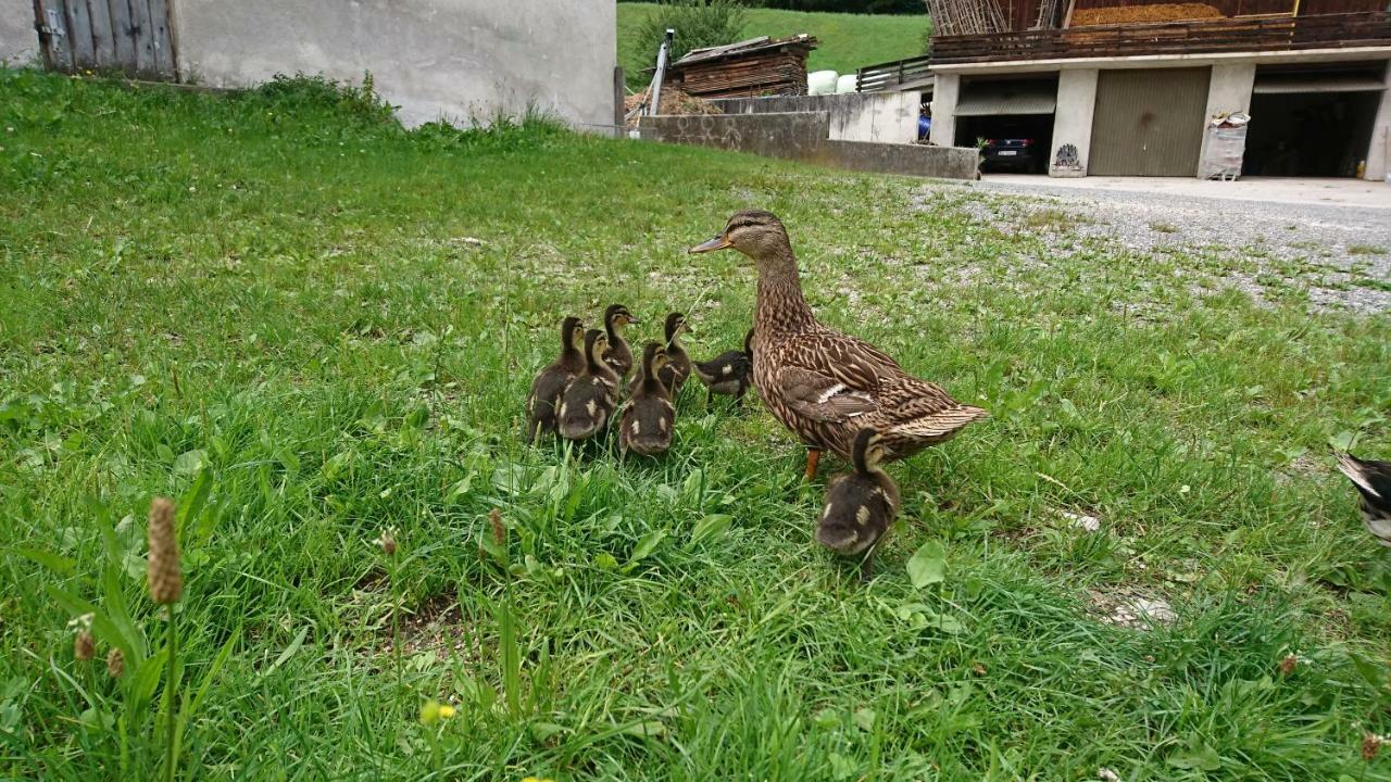 Pulvererhof Kramsach Kültér fotó
